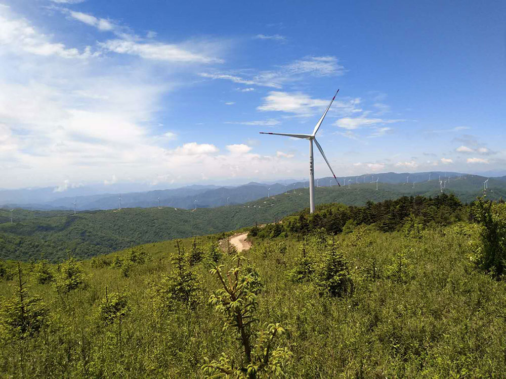 國電龍源觀日臺風電場